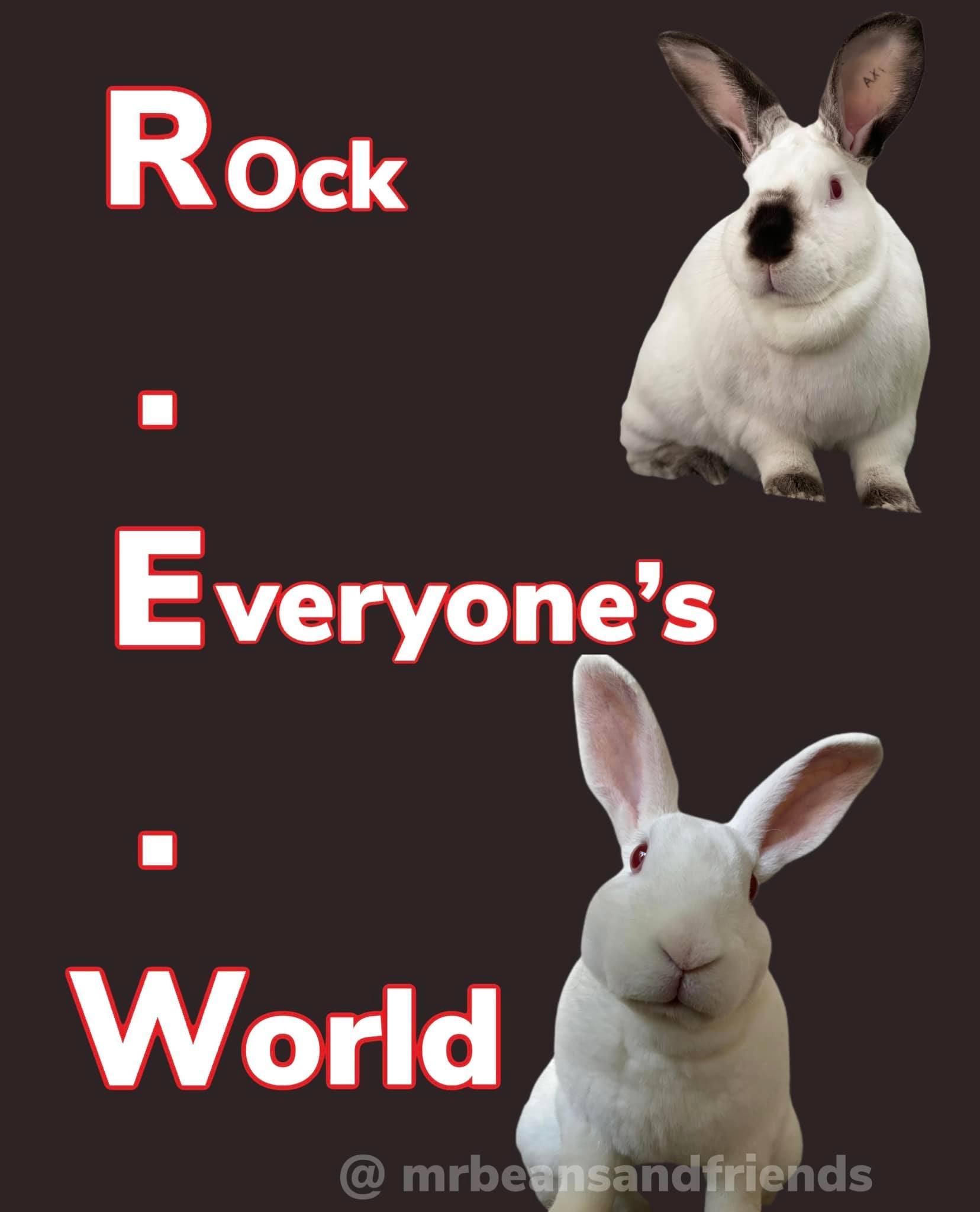 Rabbit Treat/Food Image